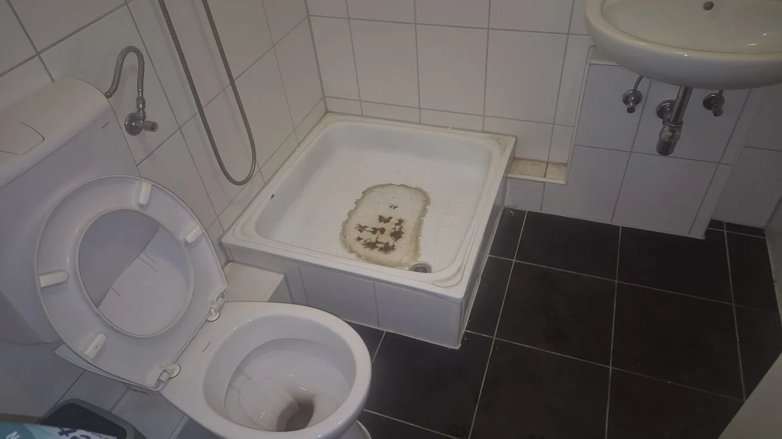 Verkalktes Bad vor der Sanitärreinigung Dortmund