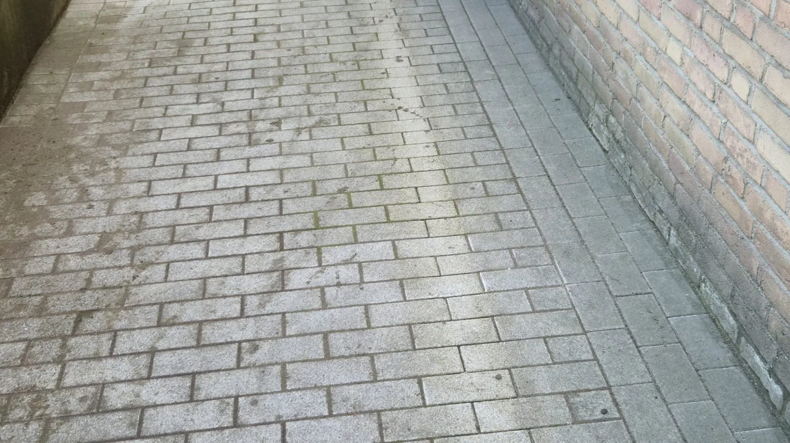 Sauberer Pflasterweg nach Steinreinigung Dortmund