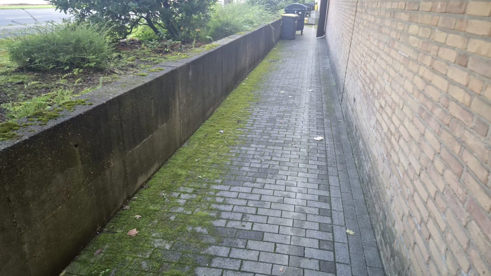 Pflasterweg mit Moos vor der Hochdruckreinigung Dortmund